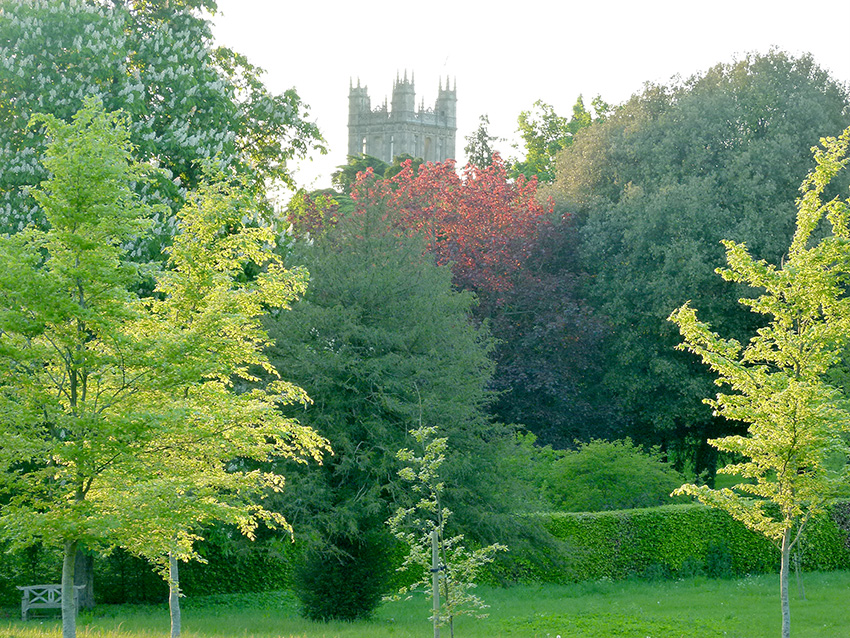 Let’s talk about the weather