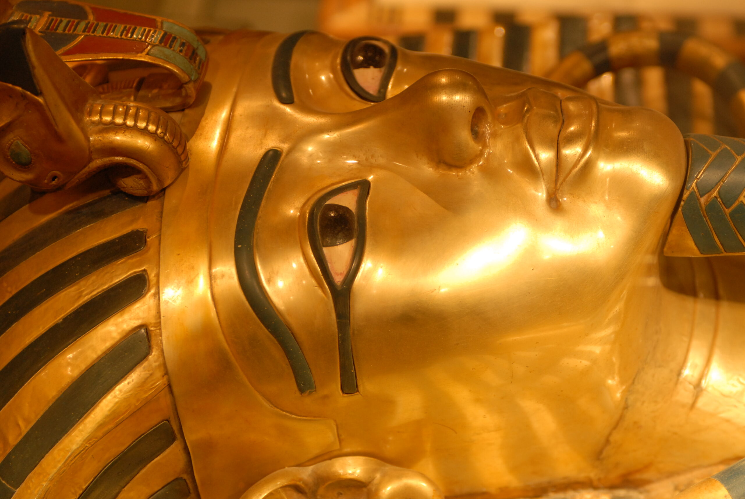 Highclere to Tutankhamun: Joann Fletcher